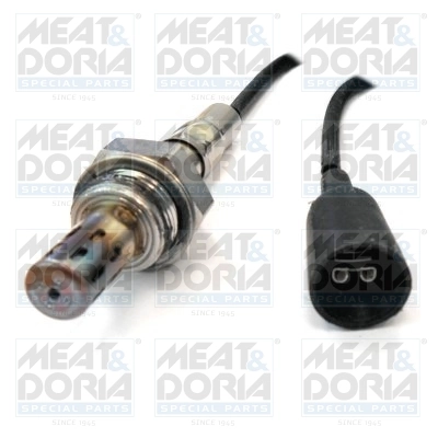 Oxygen Sensor